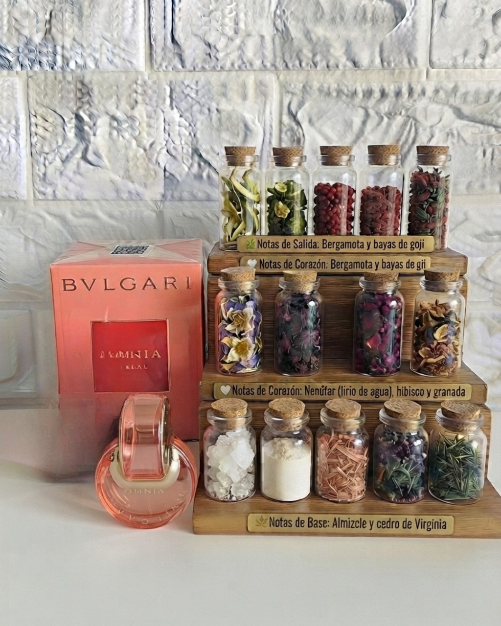Bvlgary Coral