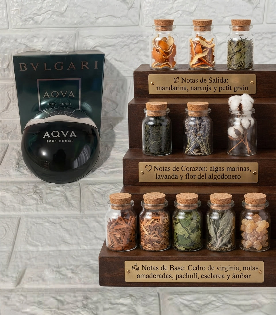 Aqva Pour Homme